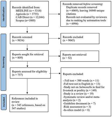 Salmonella in Animal Feeds: A Scoping Review